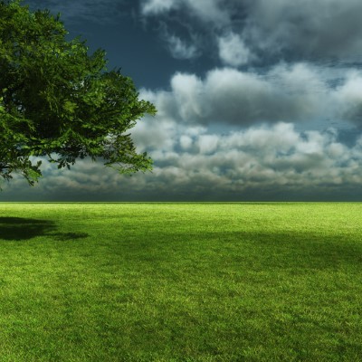 1920 x 1080 HD Wallpapers 2463